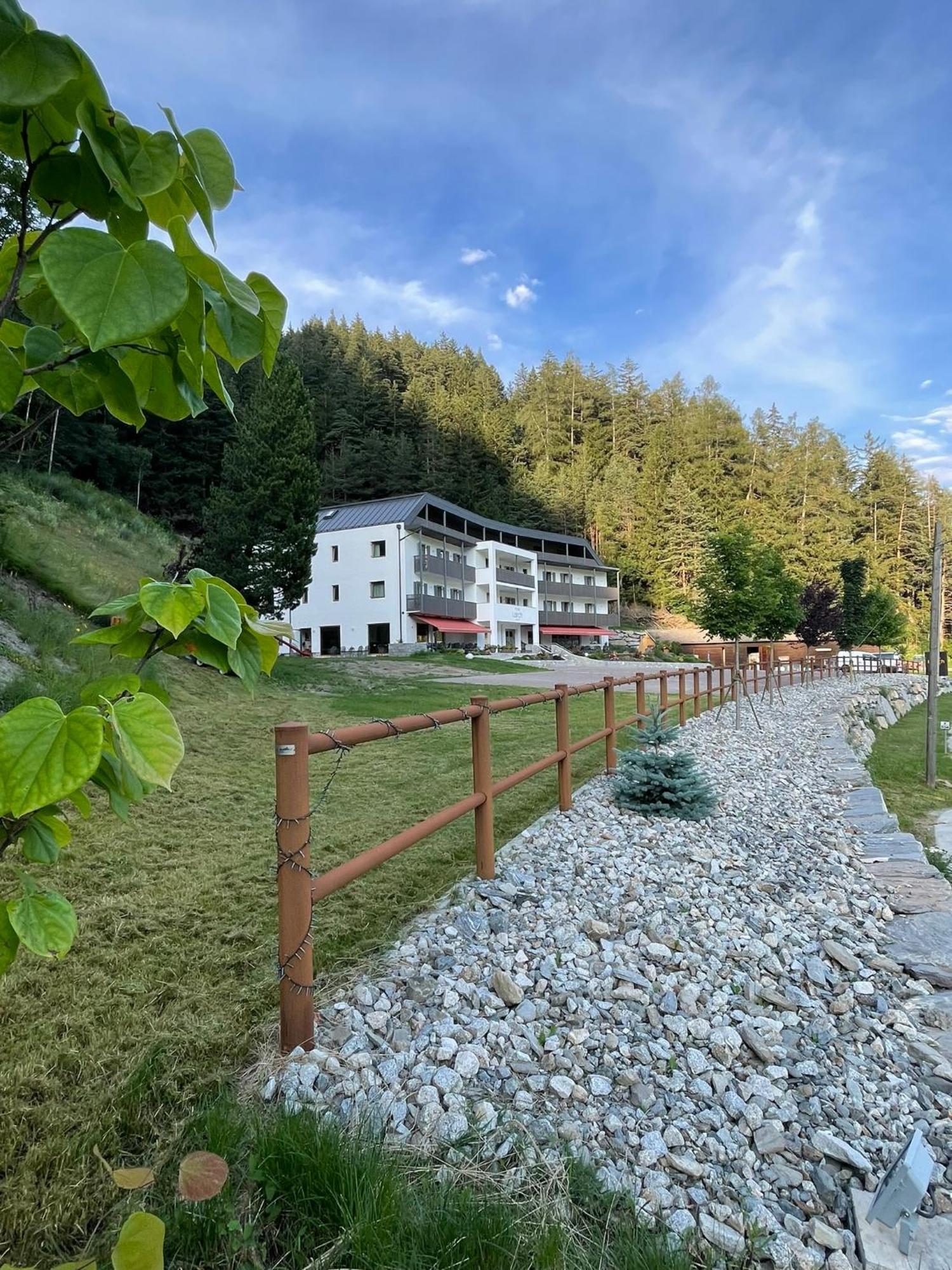 Hotel Larch Campo di Trens Exterior photo